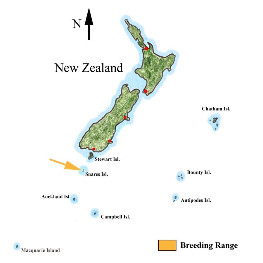Peta dari new zealand dan sekitar pulau-pulau