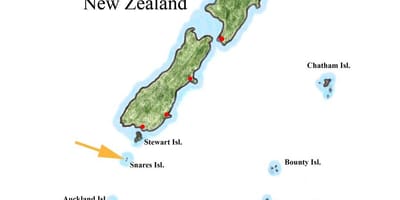 Peta dari new zealand dan sekitar pulau-pulau